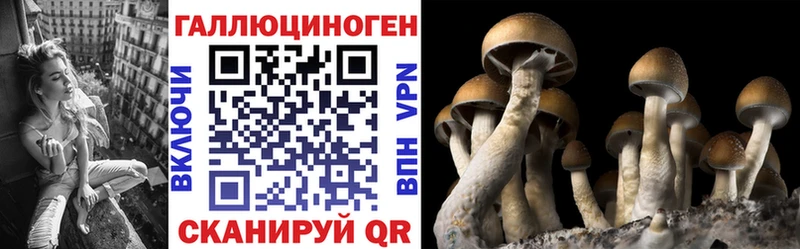 omg ССЫЛКА  Луза  Галлюциногенные грибы MAGIC MUSHROOMS 